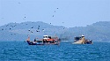 03 Thai Fishing Boats